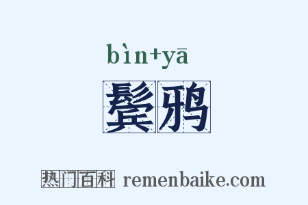 鬓鸦是什么意思的图片